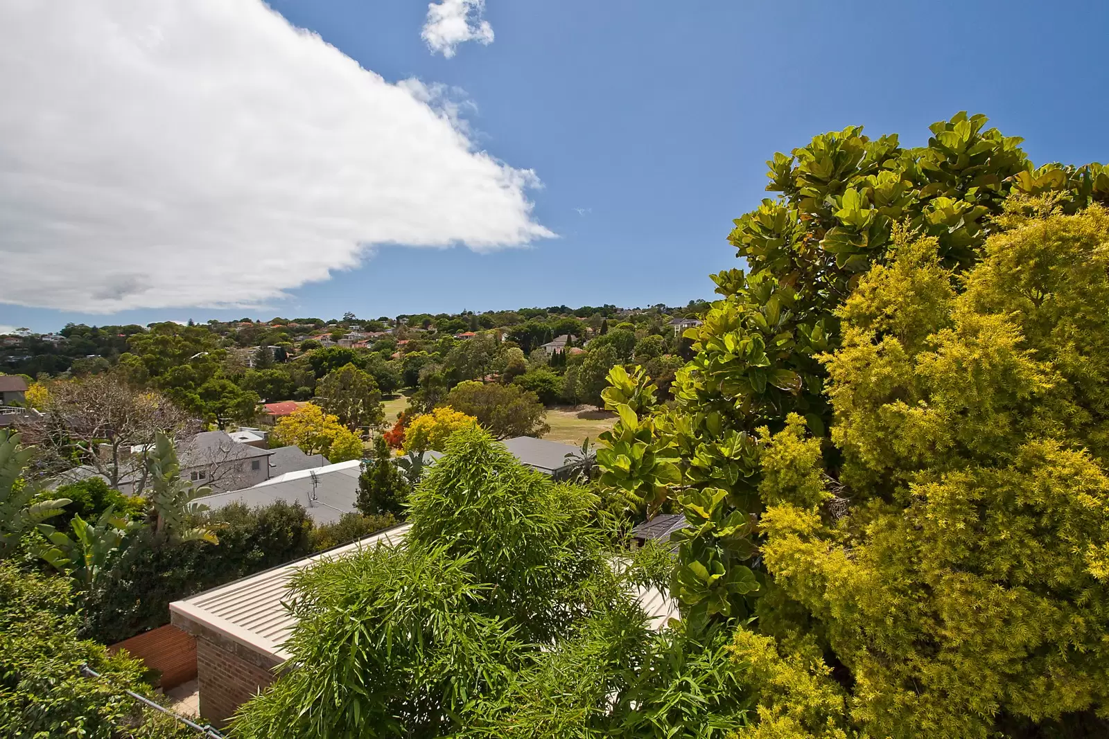 51 Wallaroy Road, Woollahra Sold by Ballard Property - image 10