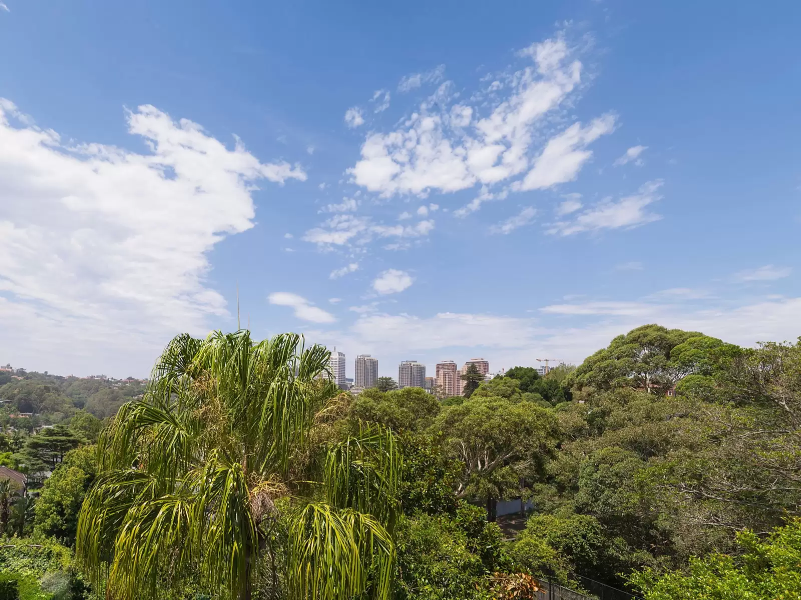 301 Edgecliff Road, Woollahra Sold by Ballard Property - image 9