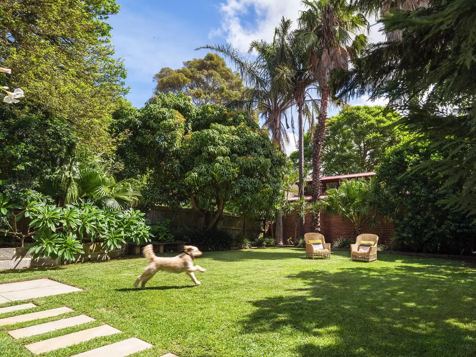 18 Kensington Road, Kensington Sold by Ballard Property - image 9