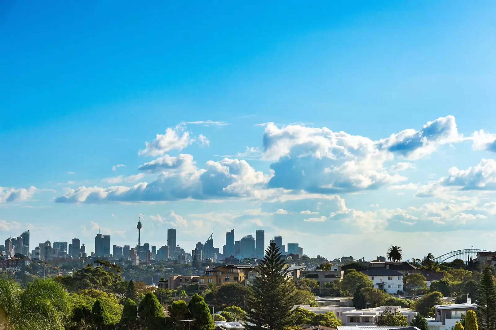 17 Princess Street, Rose Bay Sold by Ballard Property - image 10