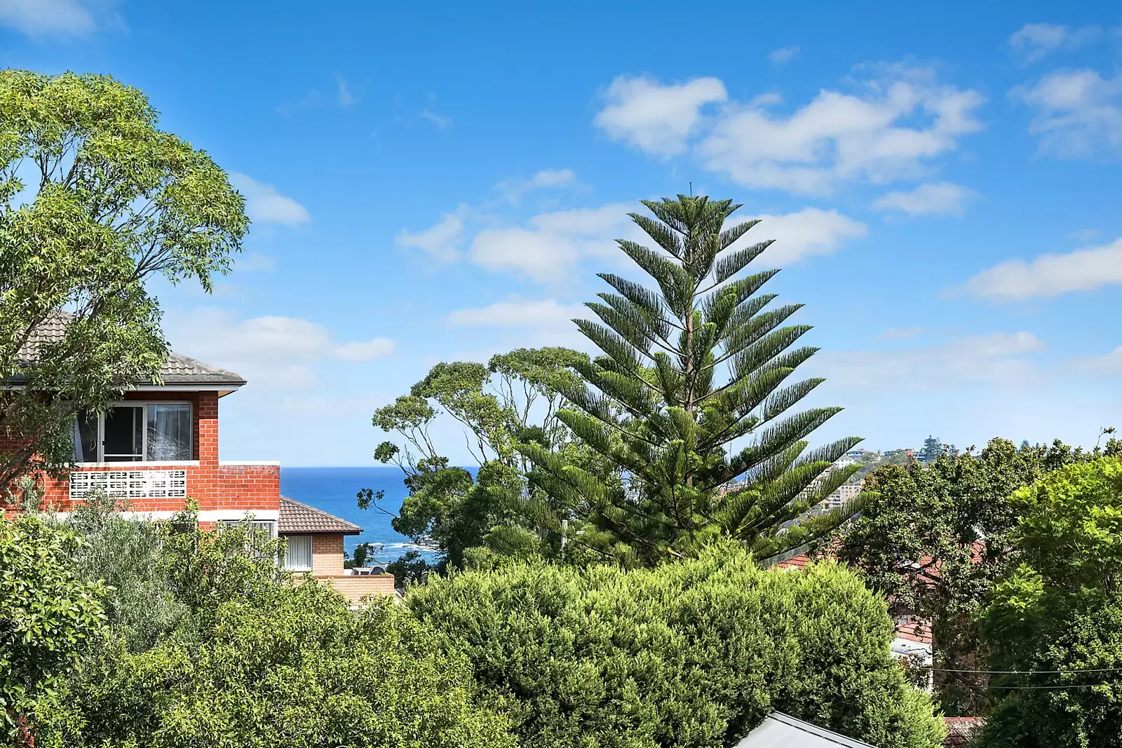 8/230 Clovelly Road, Coogee Sold by Ballard Property - image 6