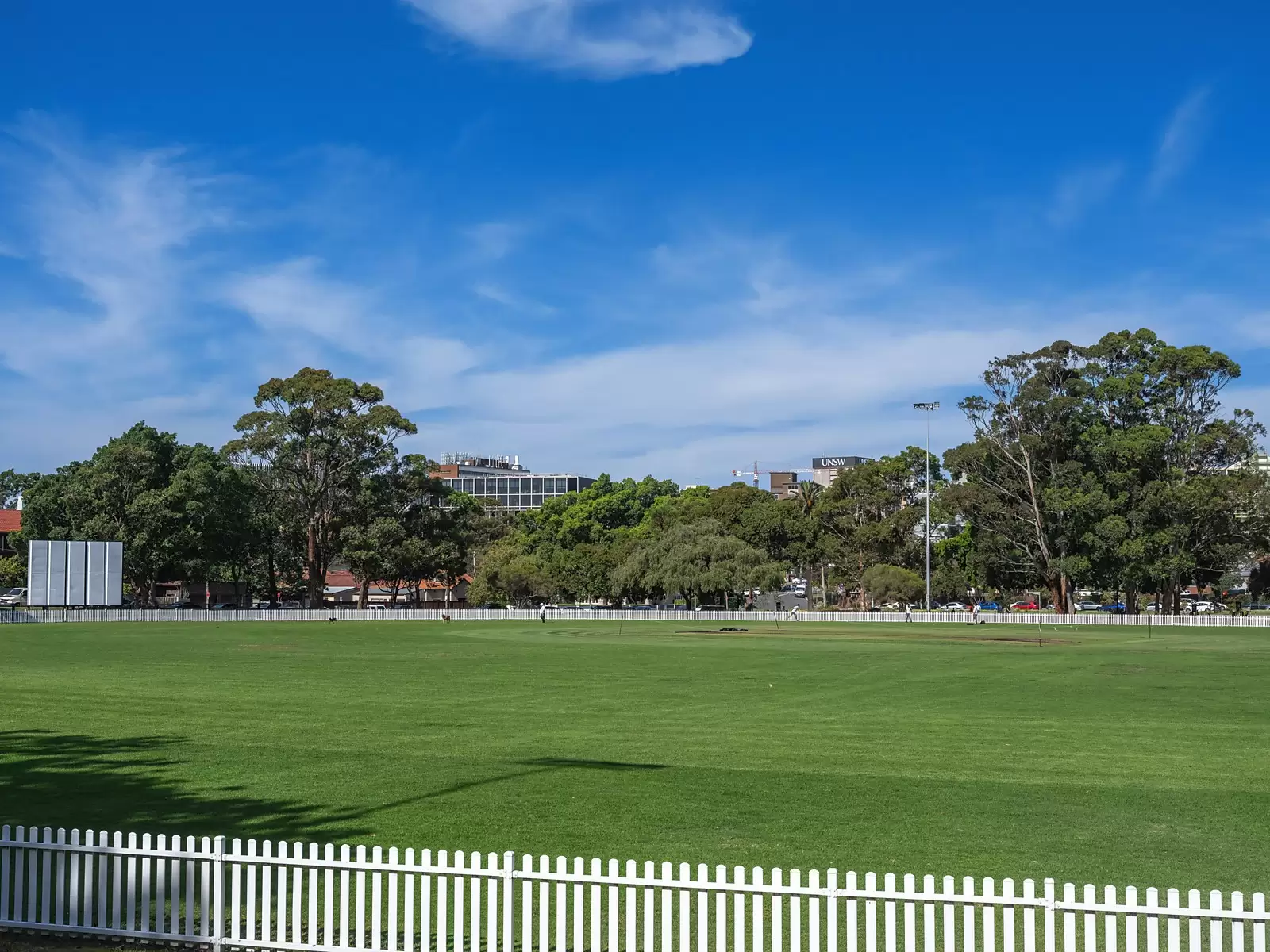 98 Cottenham Avenue, Kensington Sold by Ballard Property - image 7