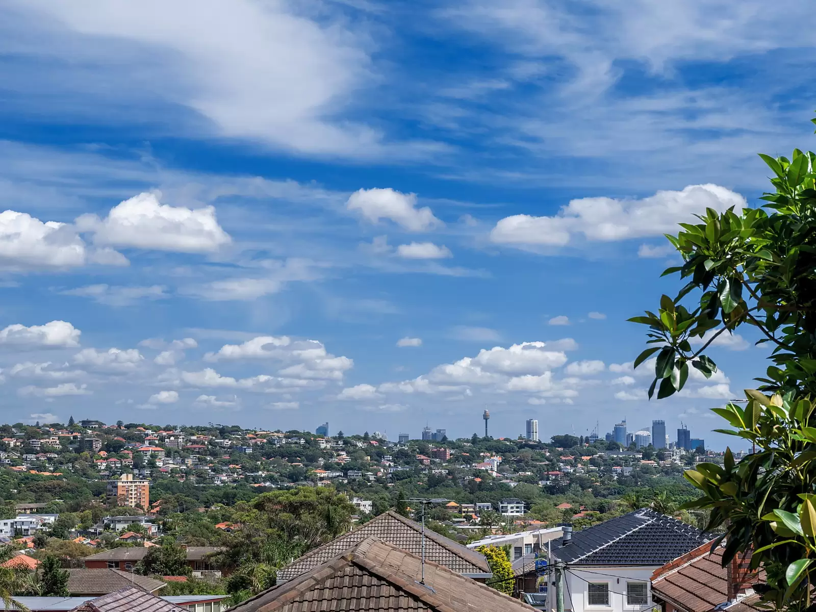 1c/56 Military Road, North Bondi Sold by Ballard Property - image 9