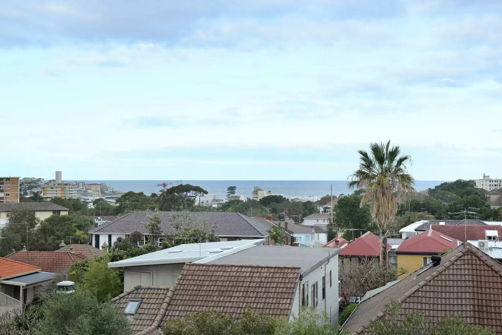 110 Wellington Street, Bondi Beach Sold by Ballard Property - image 1