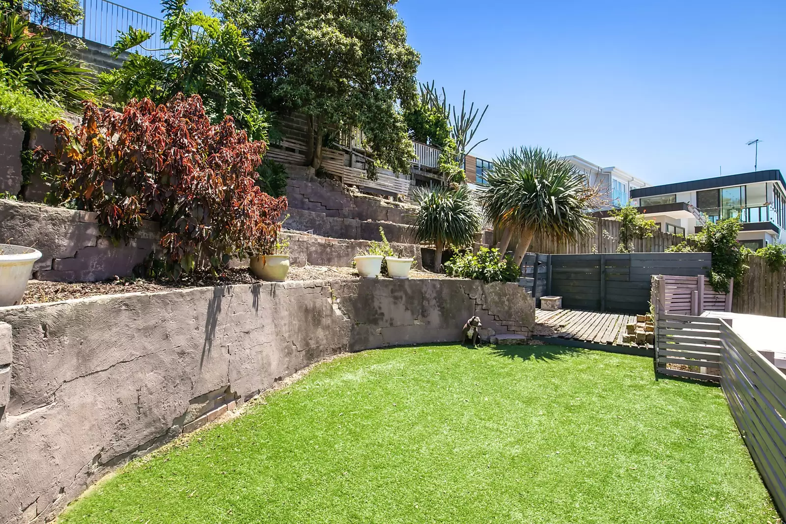 5 Ahearn Avenue, South Coogee Sold by Ballard Property - image 7