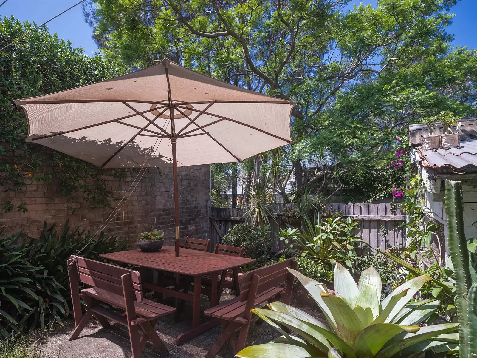 53 Cambridge Street, Paddington Sold by Ballard Property - image 5