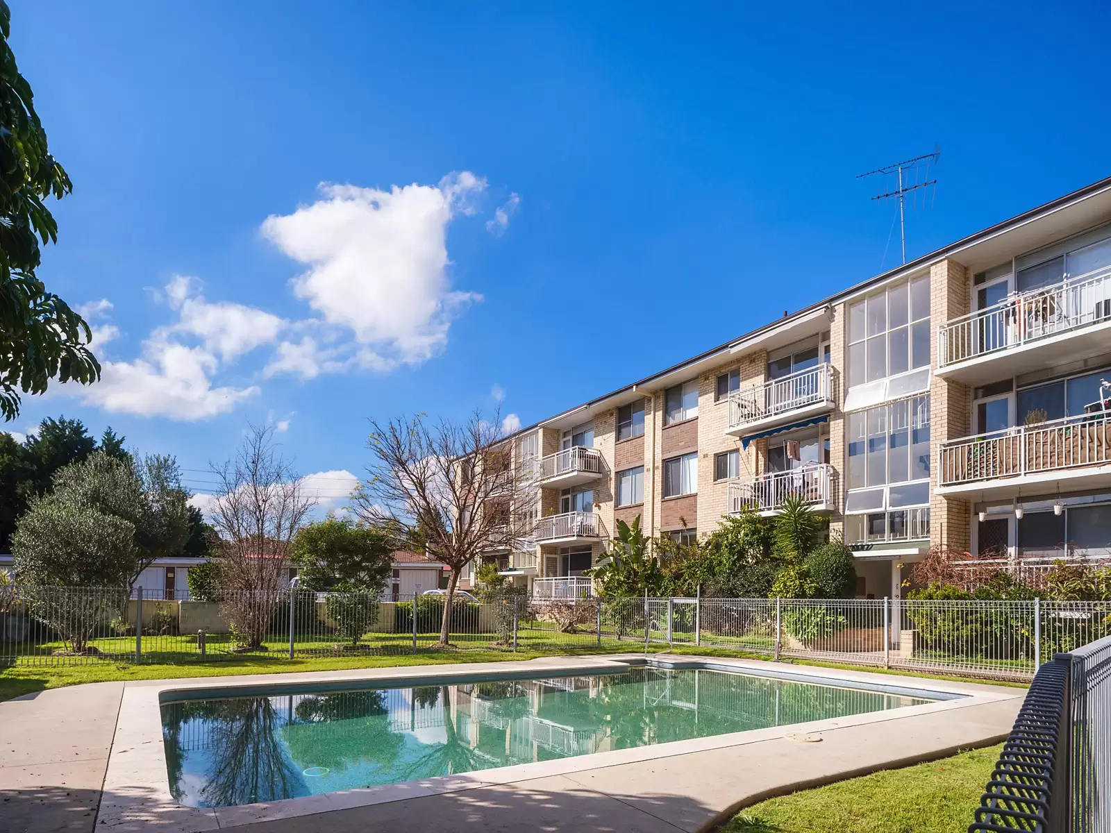 5/38a Ewart Street, Marrickville Sold by Ballard Property - image 8