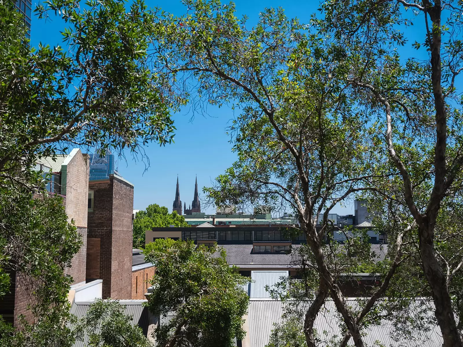 303/1-15 Francis Street, Darlinghurst Sold by Ballard Property - image 9