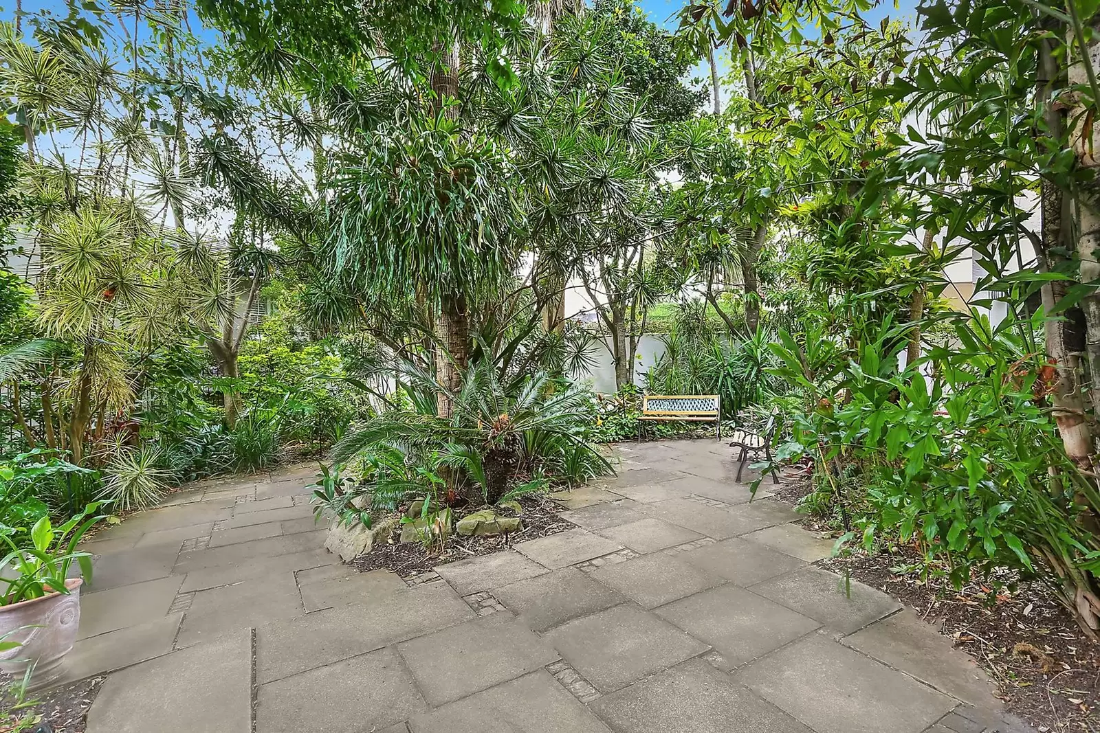 11 Vivian Street, Bellevue Hill Sold by Ballard Property - image 2