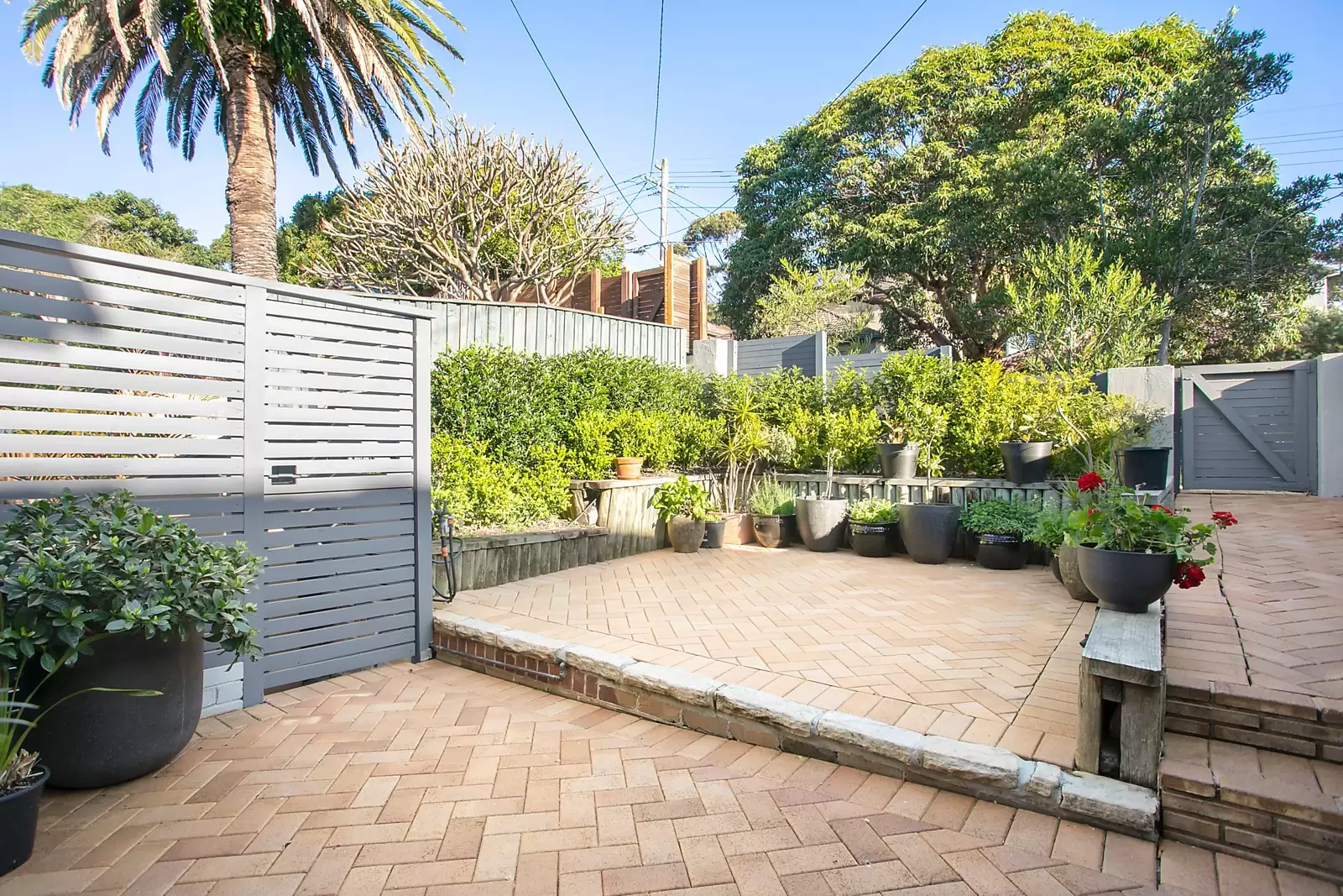 2/86 Chaleyer Street, Rose Bay Sold by Ballard Property - image 5