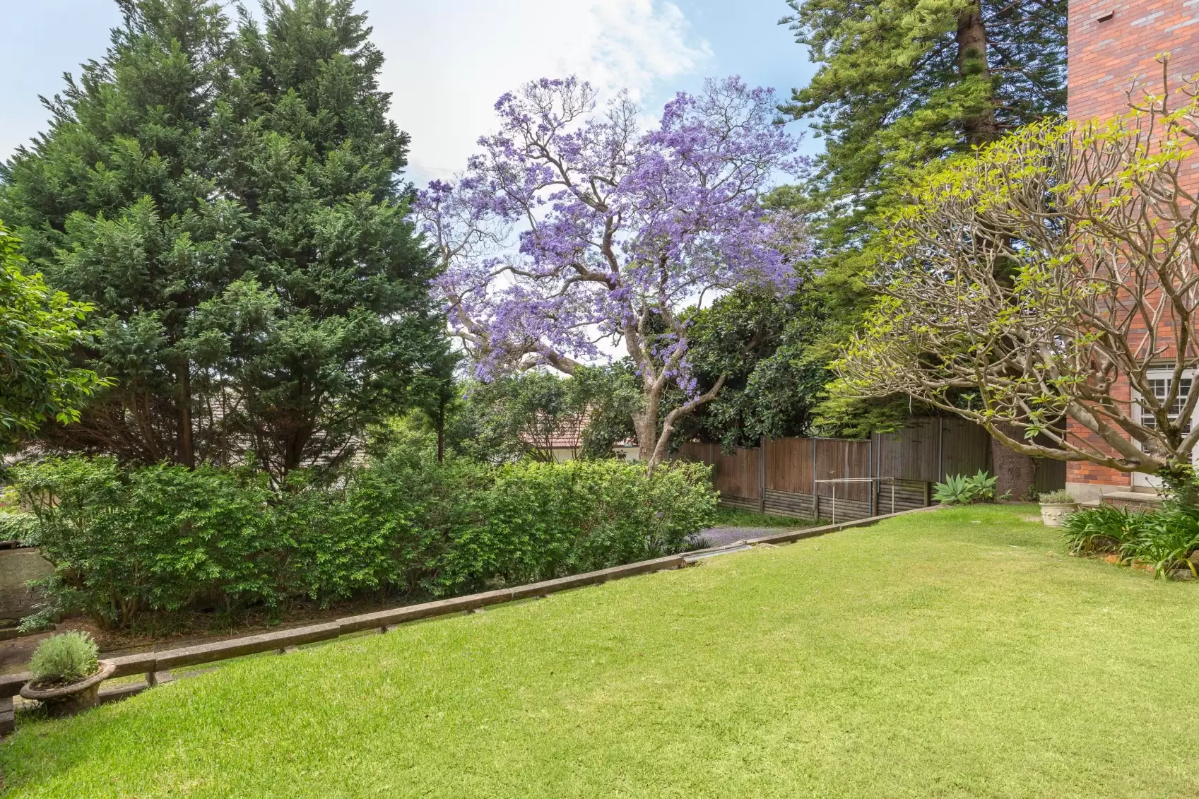 10/281A Edgecliff Road, Woollahra Leased by Ballard Property - image 8