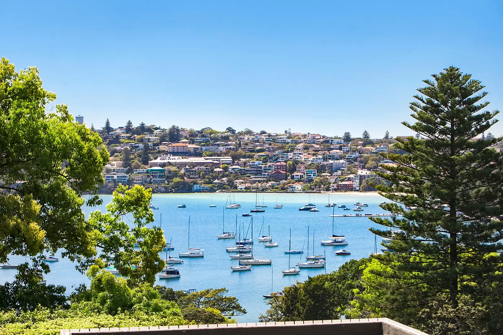 1/4 Aston Gardens, Bellevue Hill Sold by Ballard Property - image 1