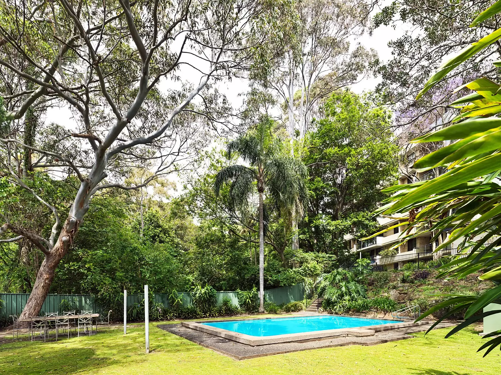 3/297-297A Edgecliff Road, Woollahra Sold by Ballard Property - image 6