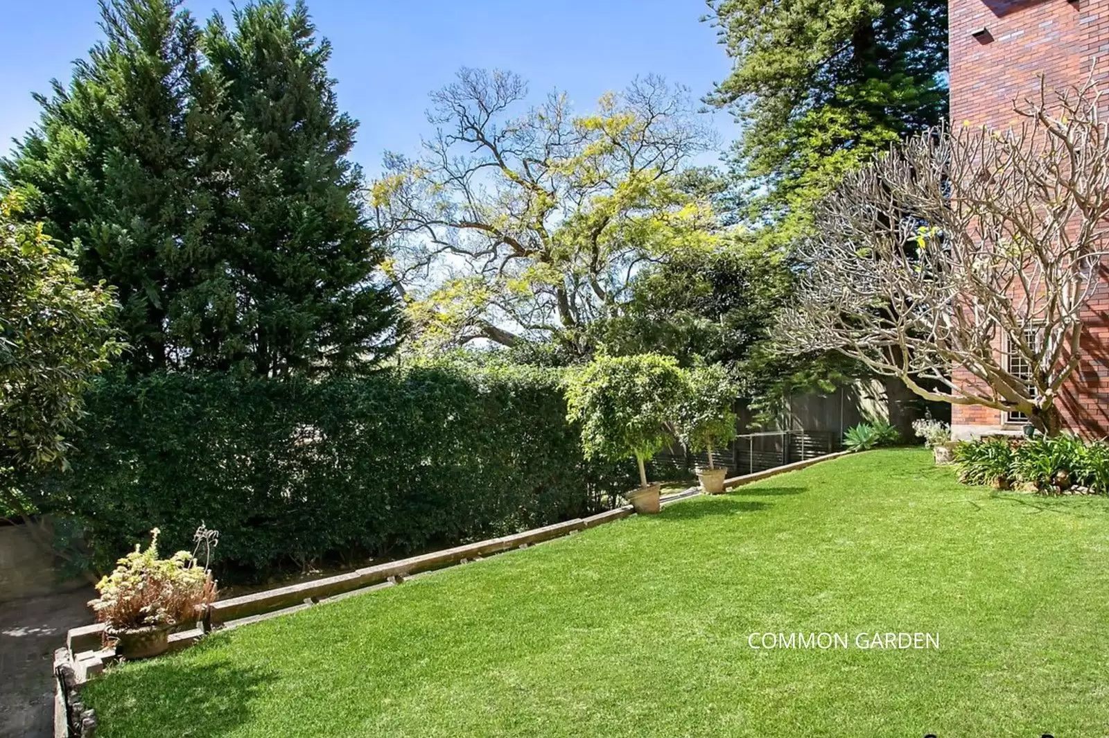 9/281A Edgecliff Road, Woollahra Leased by Ballard Property - image 12