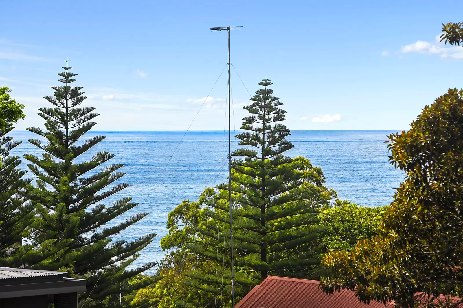 8/75 Arden Street, Coogee Sold by Ballard Property - image 3