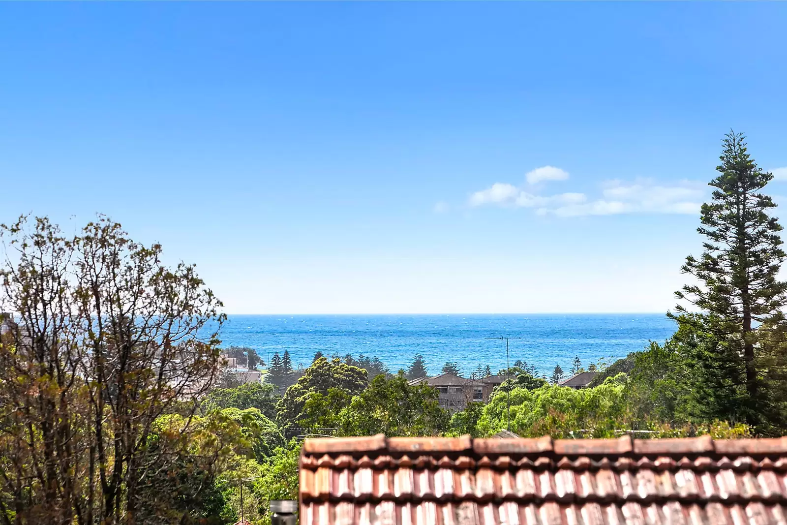 8 Dolphin Street, Randwick Sold by Ballard Property - image 5