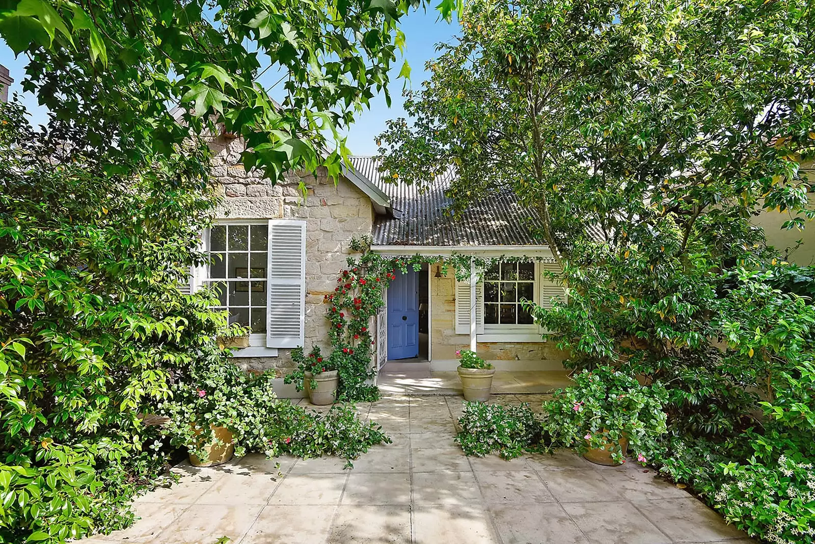 51 John Street, Woollahra Sold by Ballard Property - image 1