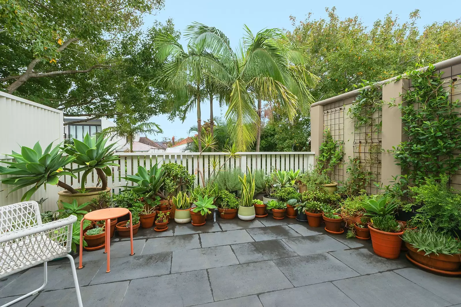 15 Searle Avenue, Randwick Sold by Ballard Property - image 7