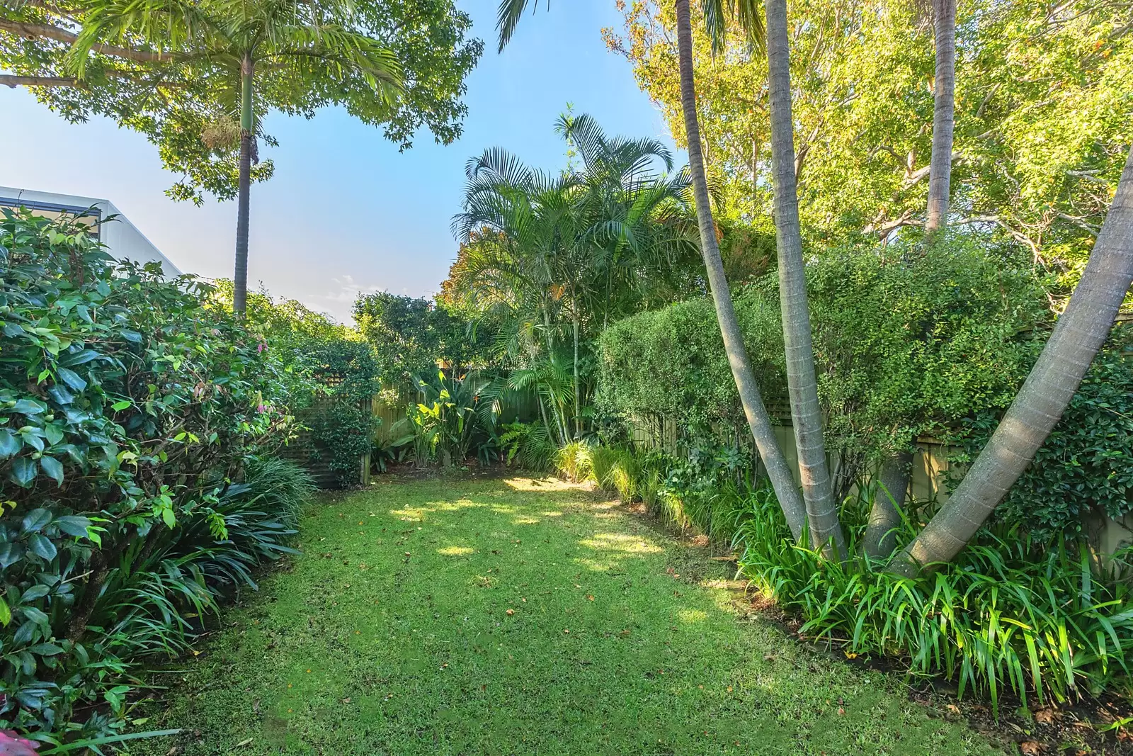 15 Searle Avenue, Randwick Sold by Ballard Property - image 16