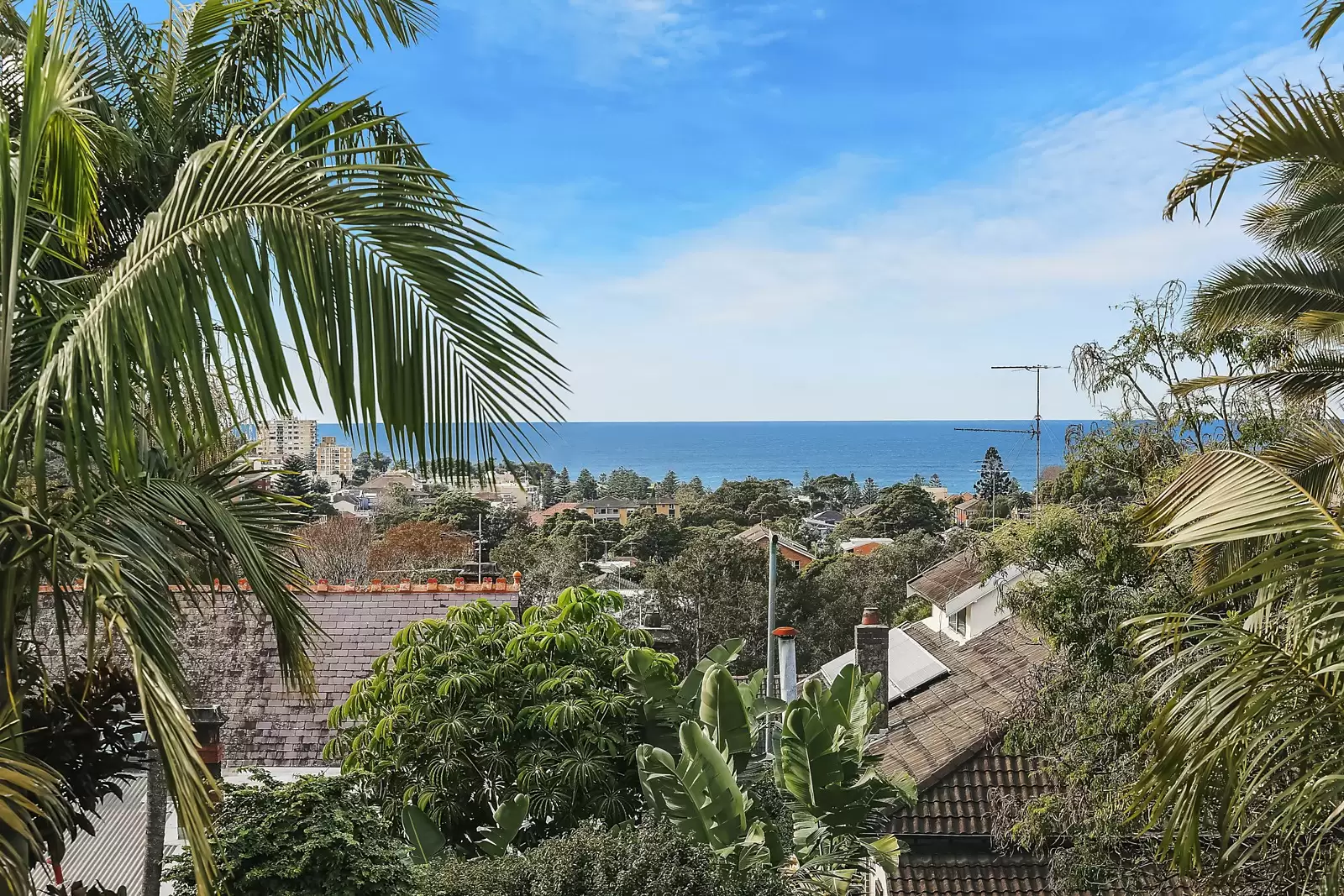 19 Judge Street, Randwick Sold by Ballard Property - image 6