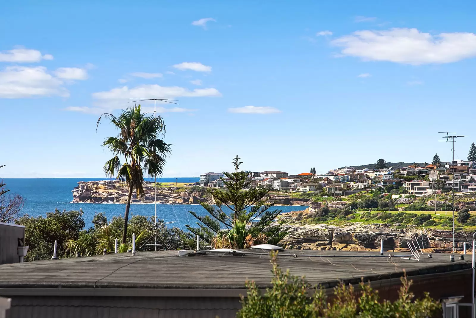 93 Beach Street, Coogee Sold by Ballard Property - image 4