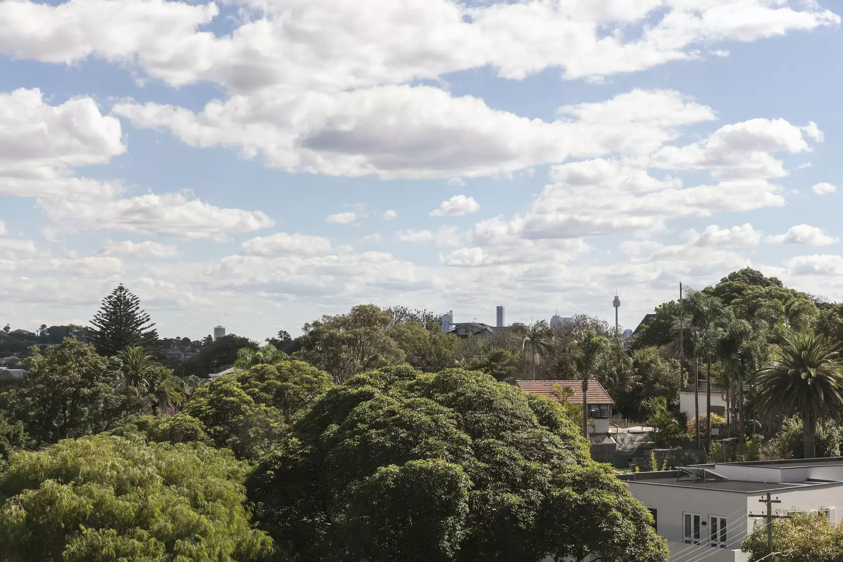 5/678-680 Old South Head Road, Rose Bay Leased by Ballard Property - image 6