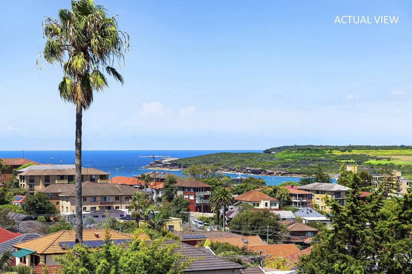 379 Malabar Road, Maroubra Sold by Ballard Property - image 6