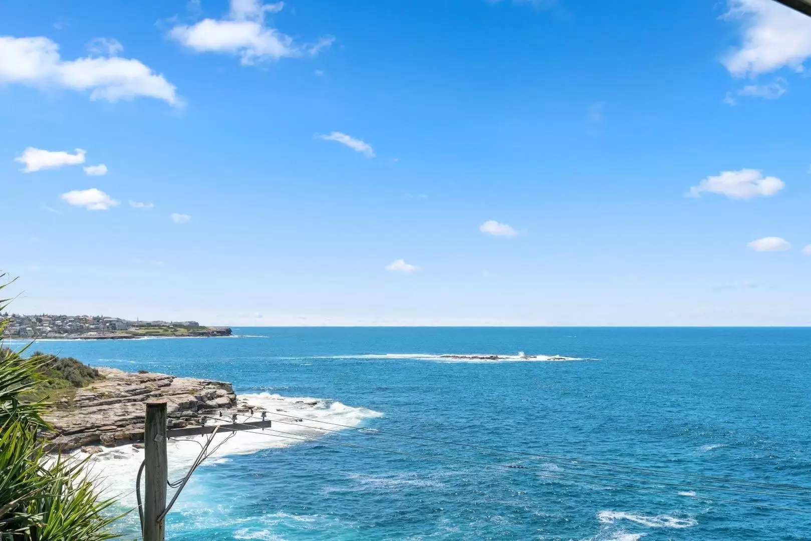 8 Alexandria Parade, South Coogee For Lease by Ballard Property - image 3