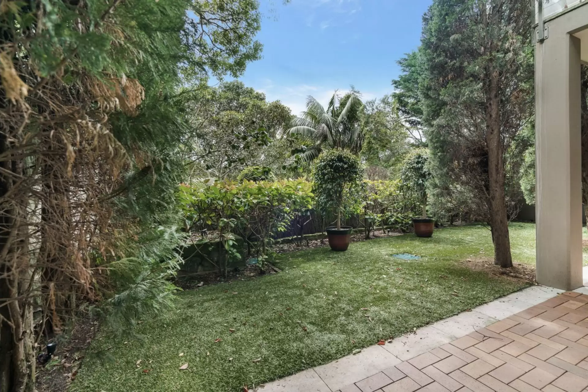 34 Roslyndale Avenue, Woollahra For Lease by Ballard Property - image 15