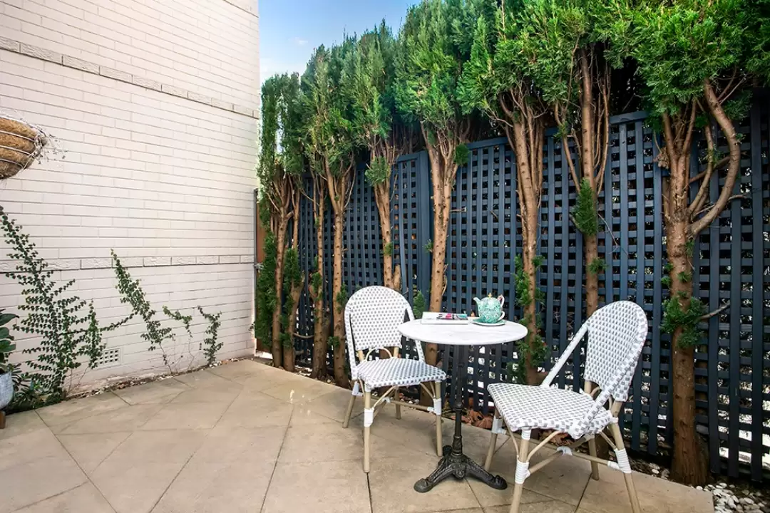 2/38 Salisbury Road, Rose Bay Leased by Ballard Property - image 7
