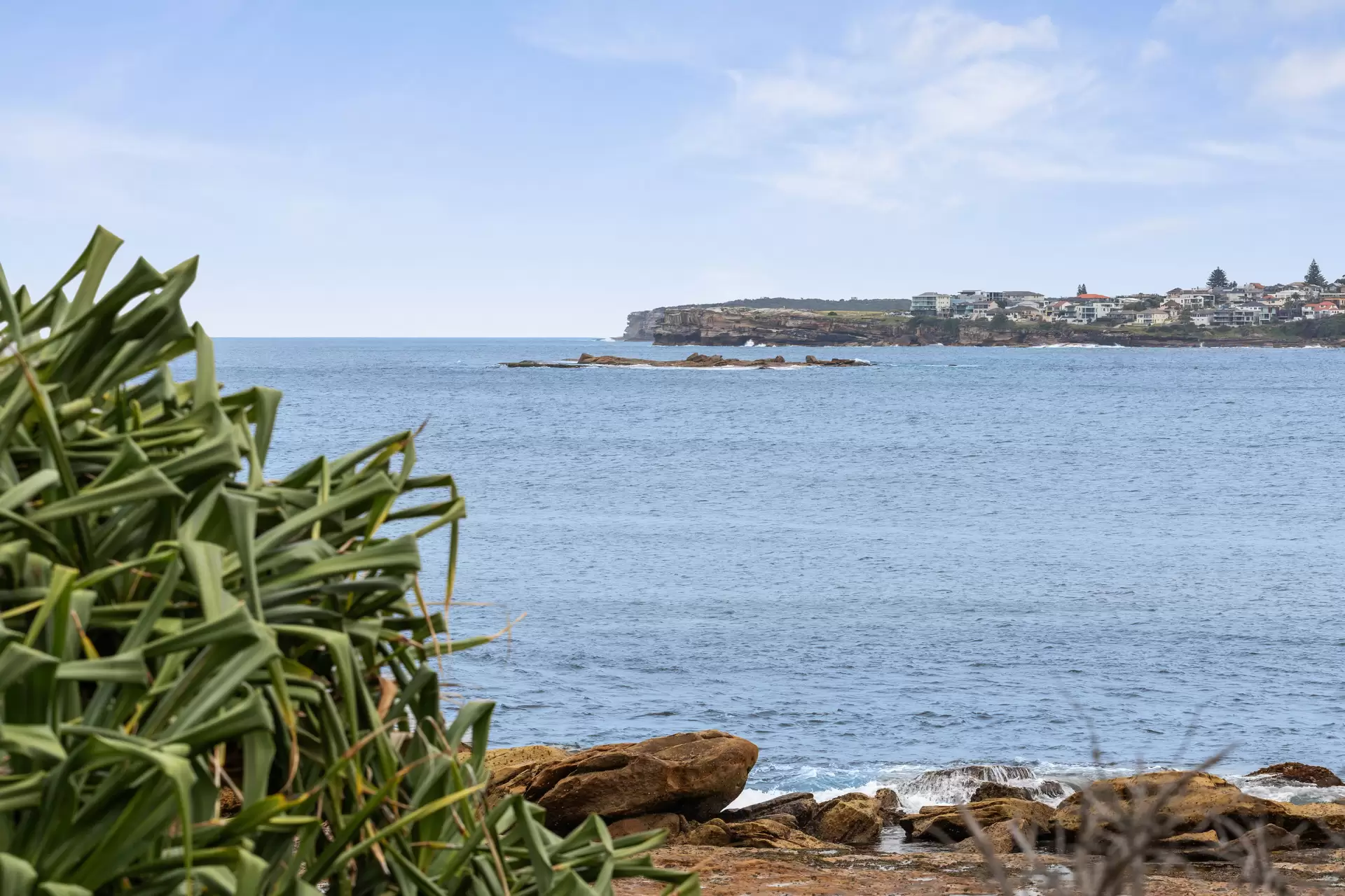 2/44 Cliffbrook Parade, Clovelly Leased by Ballard Property - image 4